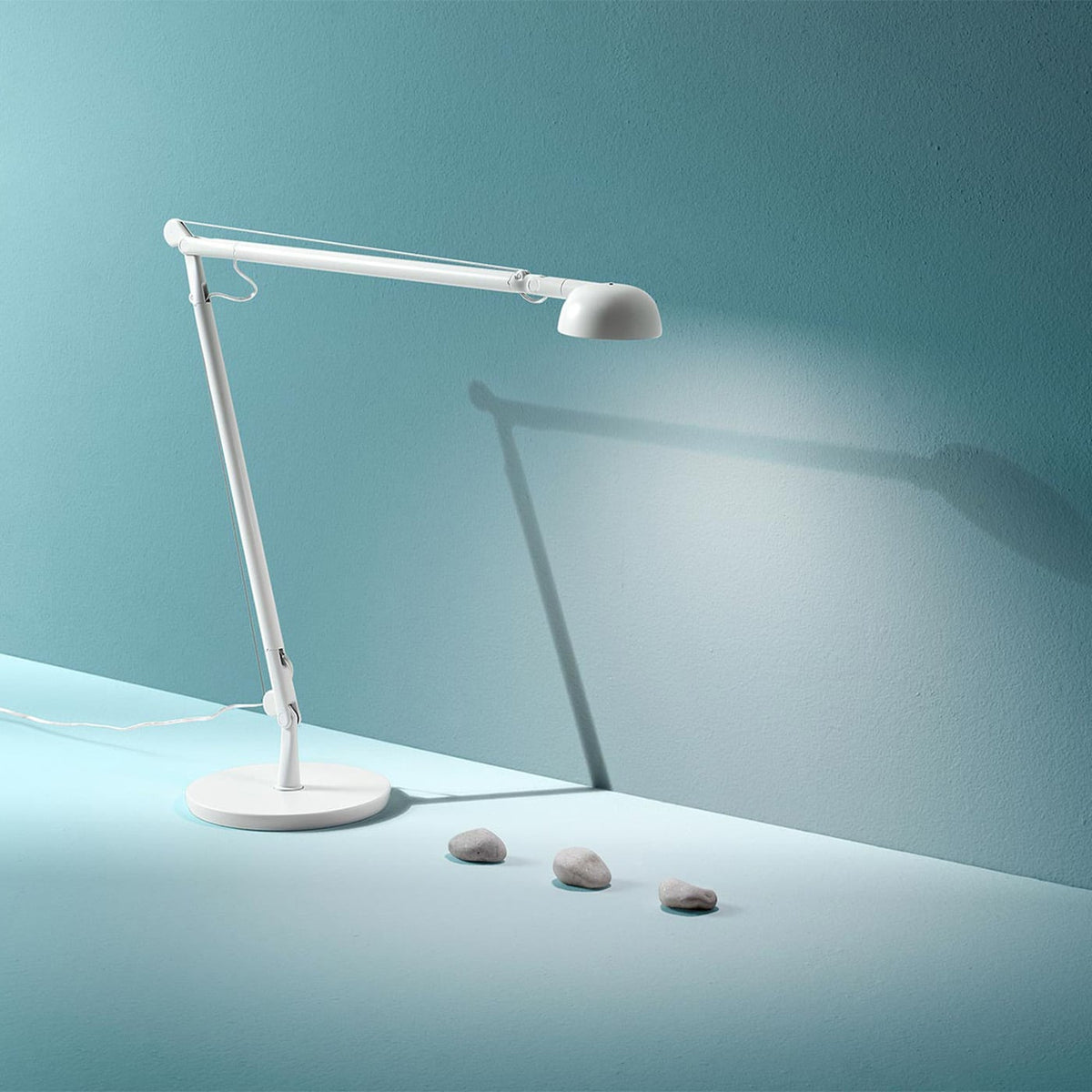 Panzeri Opuntia Lampada da Tavolo