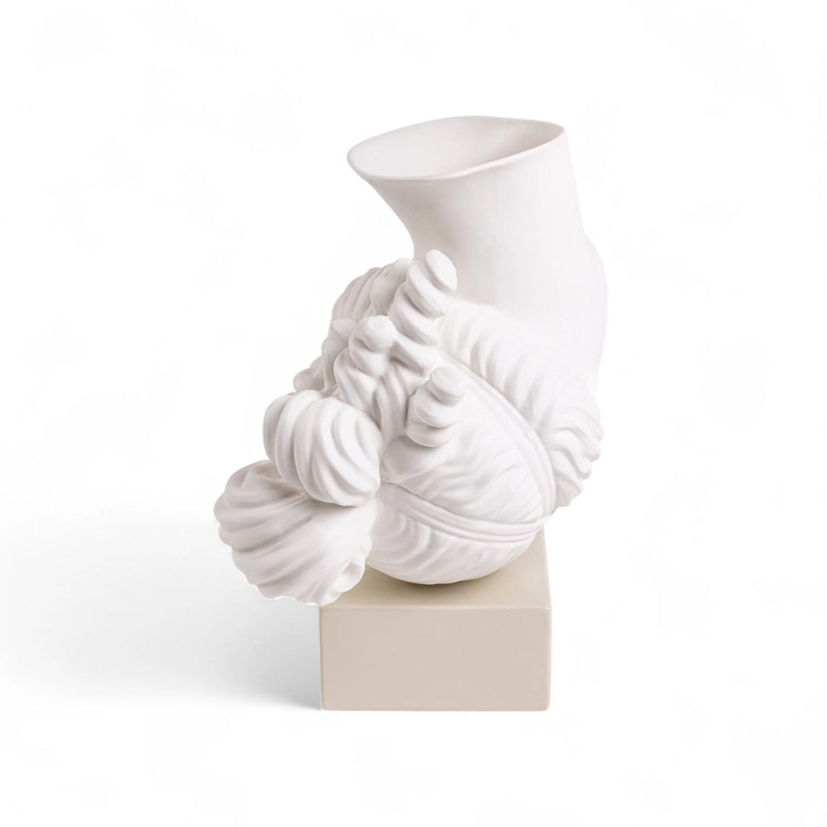 Seletti Amor Volat Vaso