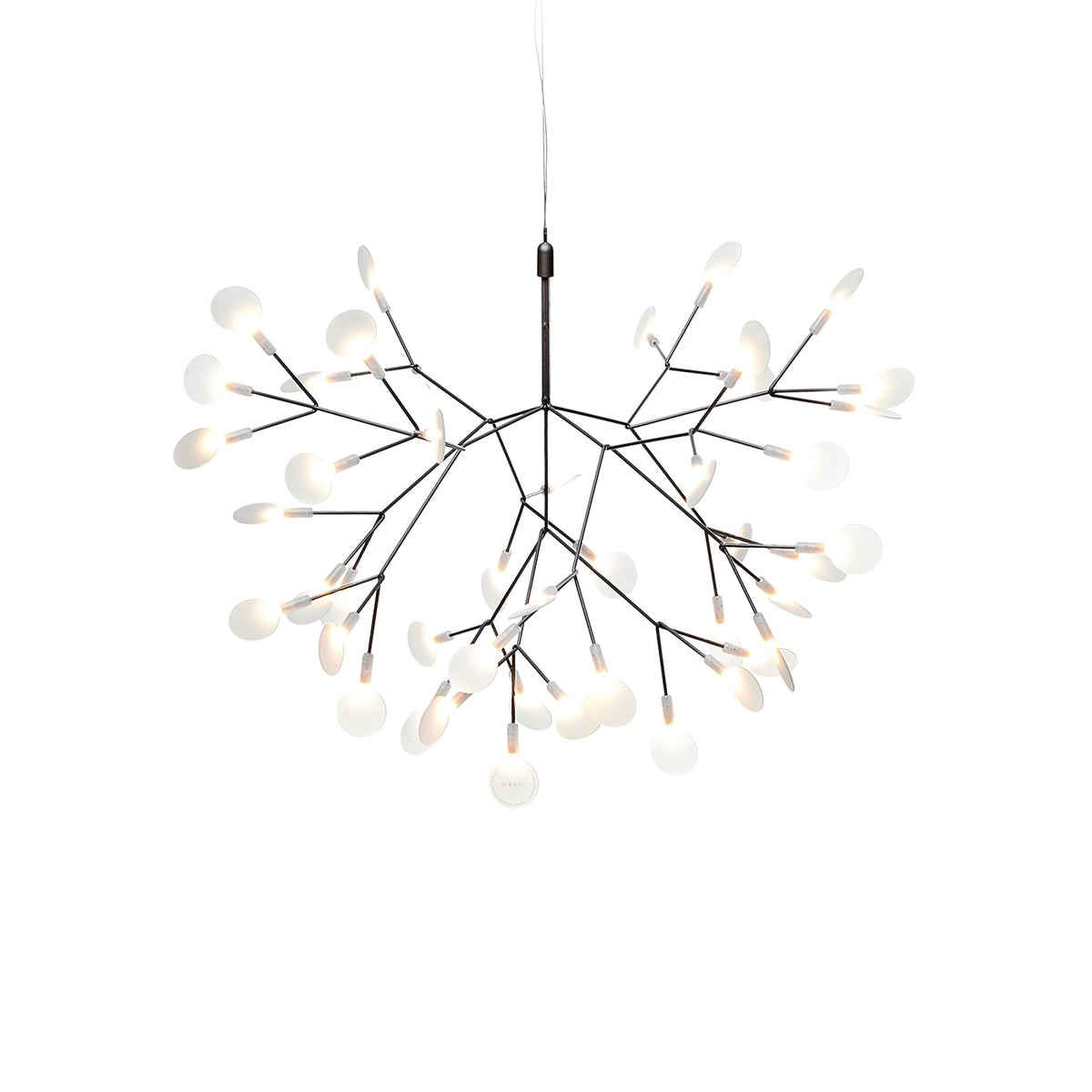 Moooi Heracleum III Suspended