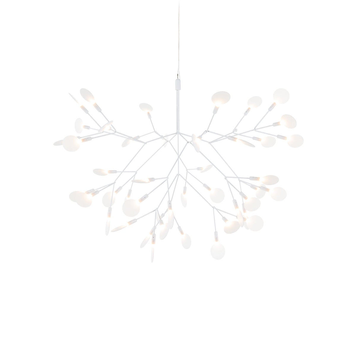Moooi Heracleum III Suspended